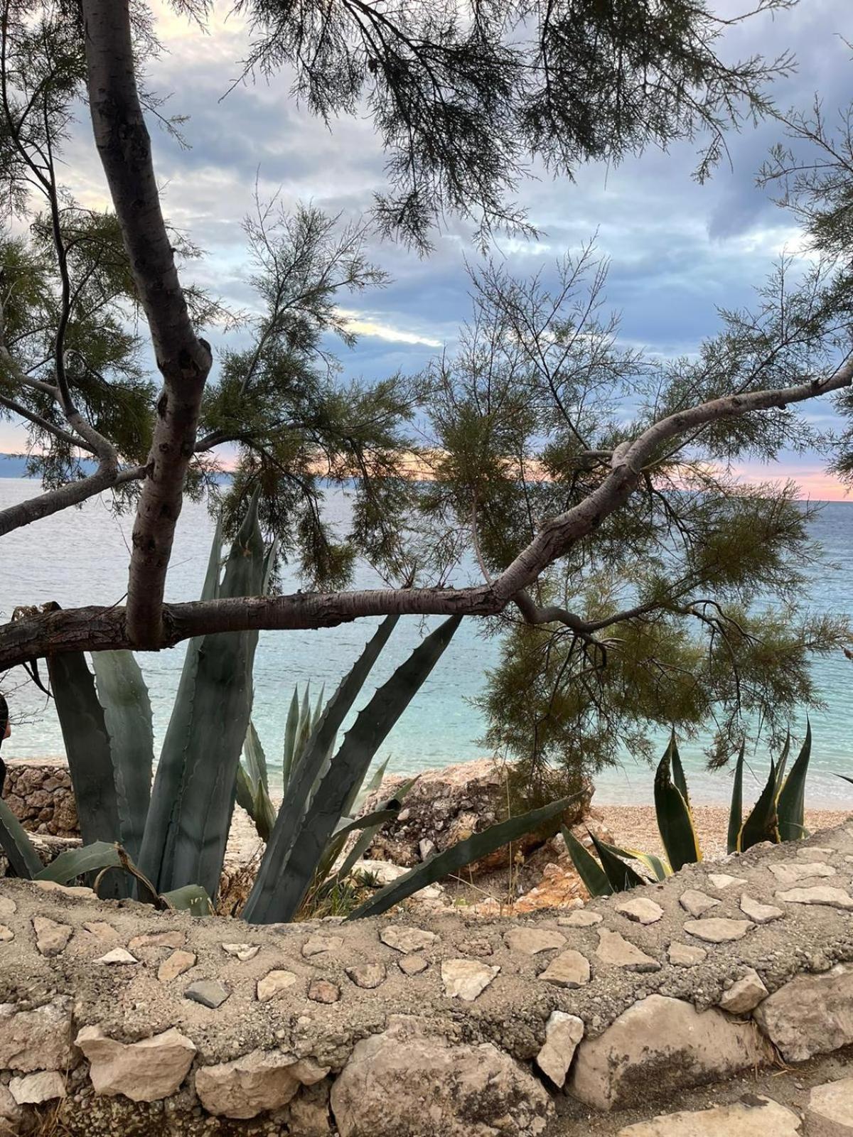 Apartments File Five Podgora Dış mekan fotoğraf